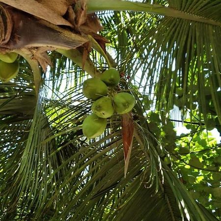Tiwi Beach Resort & Spa Mombasa Exterior photo