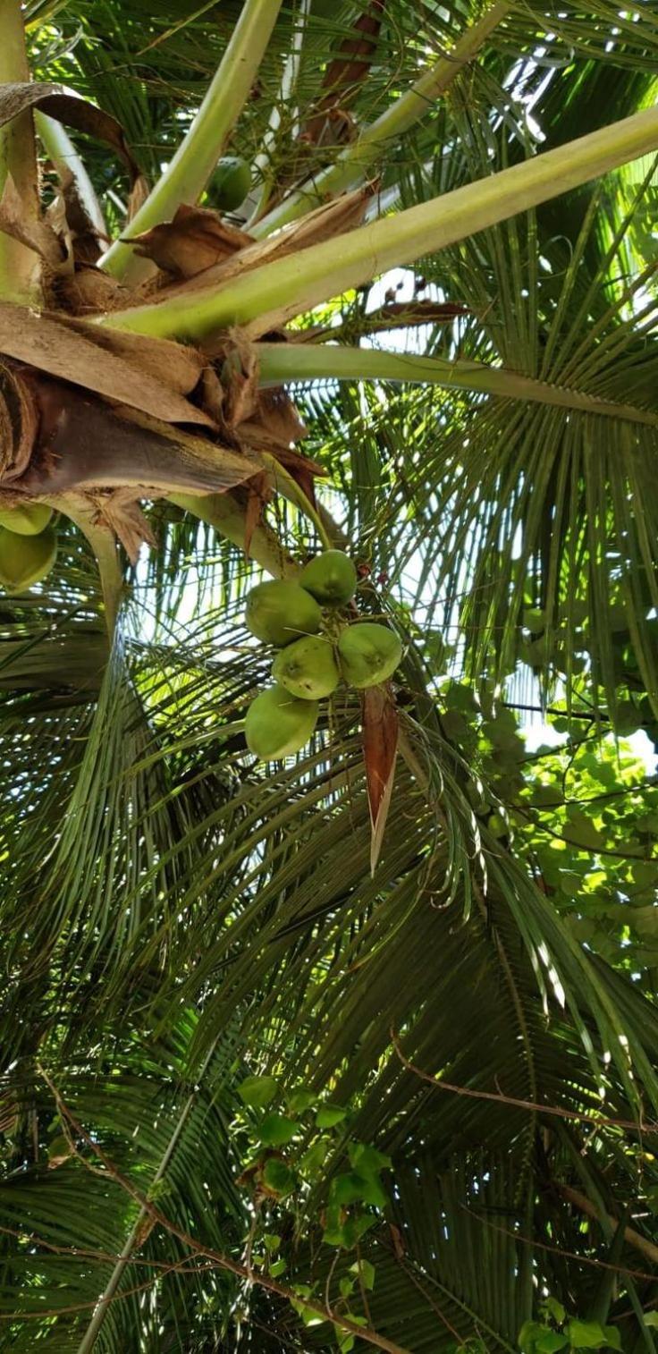 Tiwi Beach Resort & Spa Mombasa Exterior photo